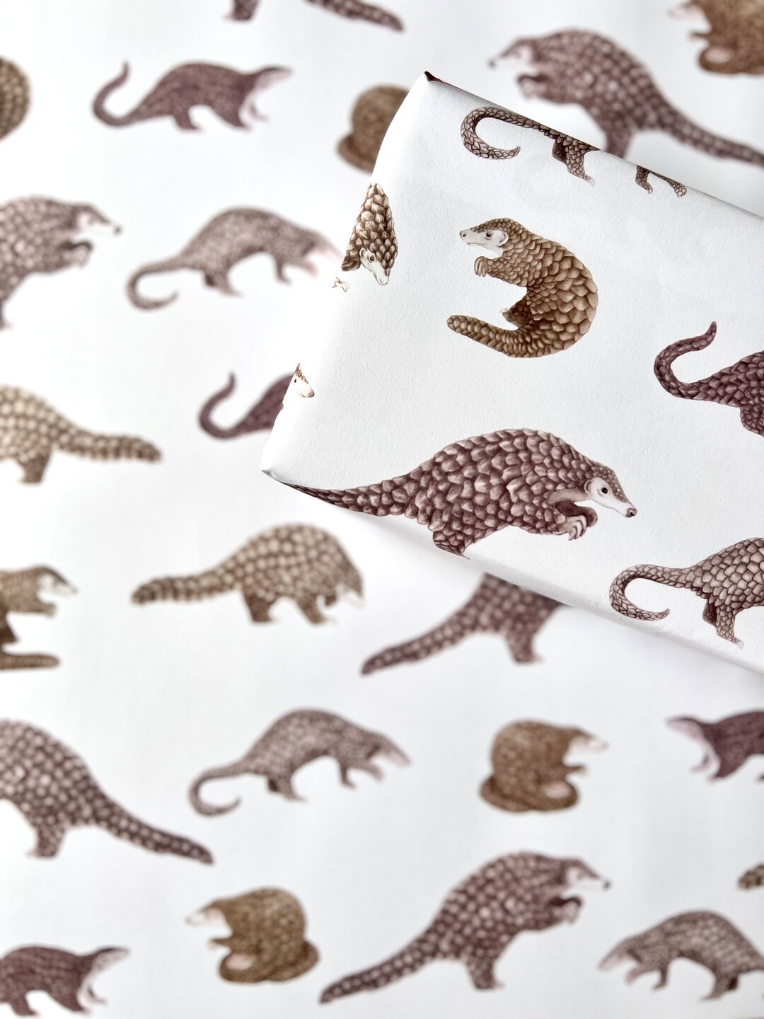 Pangolin Species Wrapping Paper A2 Sheets 100 Gsm FSC Certified ...
