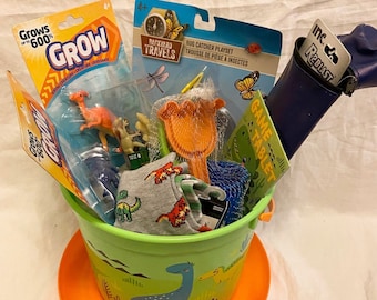 Dinosaur Toys | Dinosaur Gift Basket | Dinosaur Birthday | Easter Basket