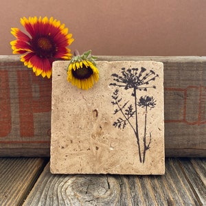 Wildflower coasters with cork backing image 2