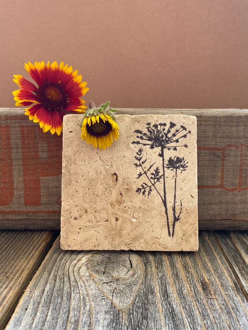 Wildflower coasters with cork backing image 2
