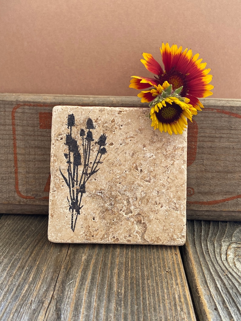 Wildflower coasters with cork backing image 5