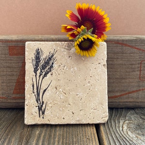 Wildflower coasters with cork backing image 4