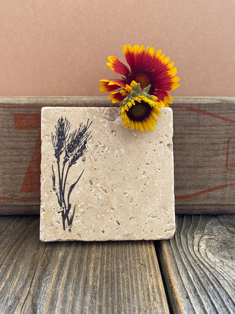Wildflower coasters with cork backing image 4
