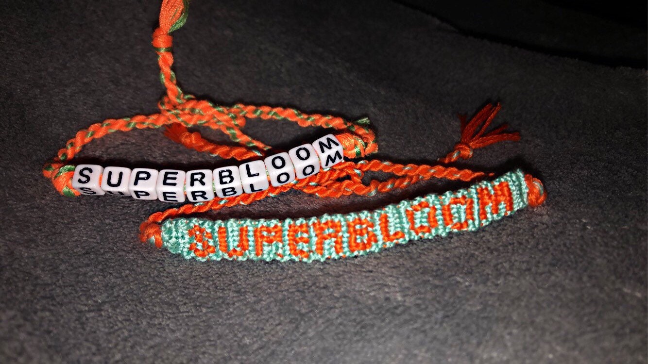 Superbloom Ashton Irwin AI Album Title Bracelet Beaded - Etsy New Zealand