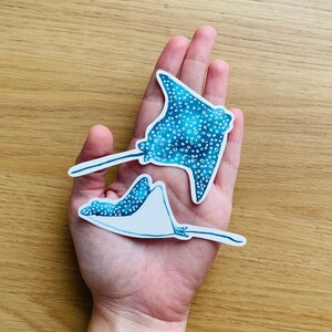 Juego de 2 pegatinas de raya águila moteada - juego de pegatinas - pegatina de acuarela - pegatina de vida marina - pegatina de manta - pegatina para portátil resistente al agua