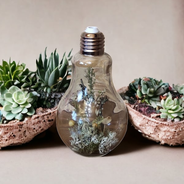 Large light bulb - terrarium with forest mushrooms, grass and moss, mushroom ornament for a bookshelf, a gift to a friend, work colleague