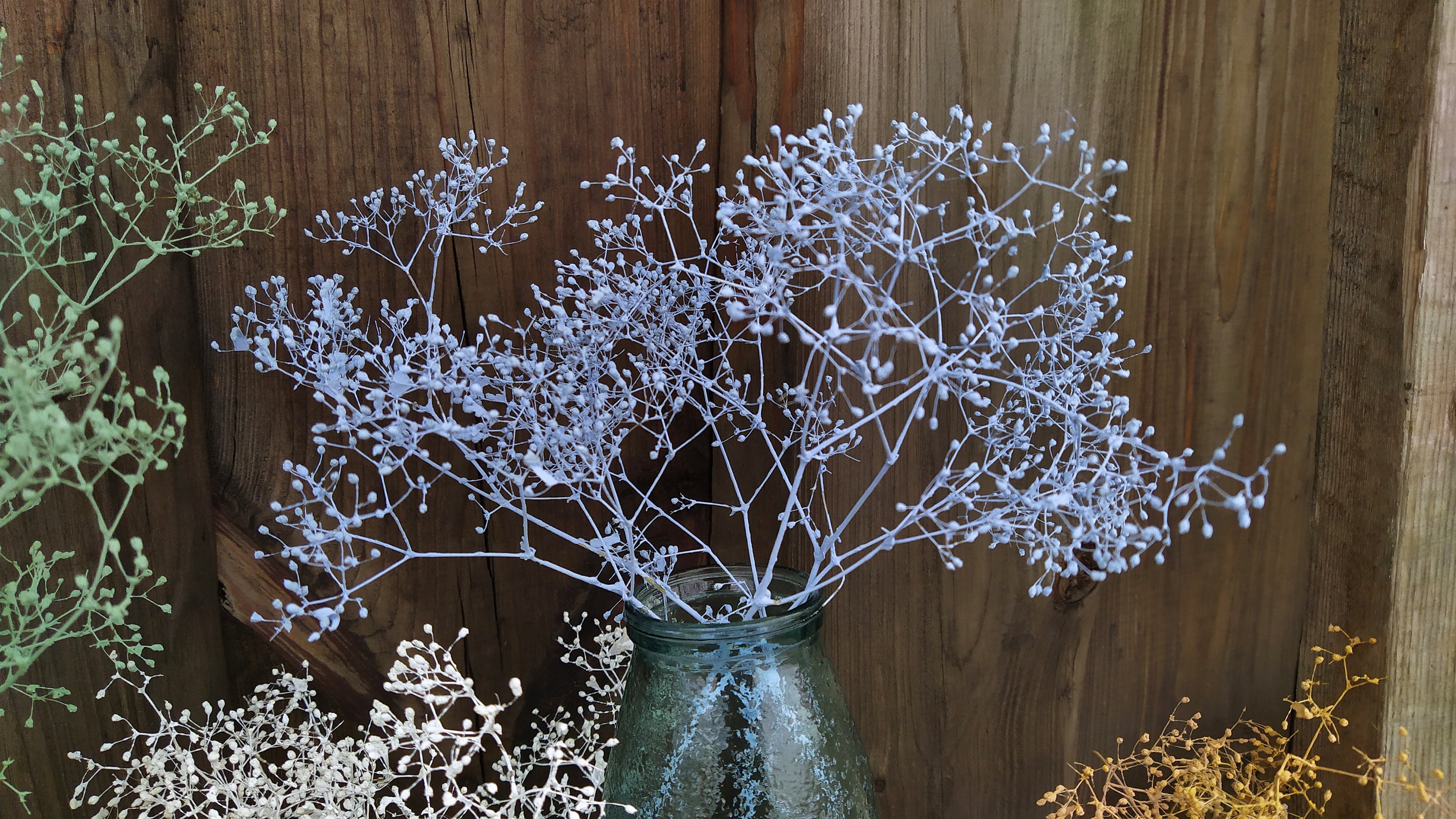 Painted Baby's Breath dry flowers of gypsophila vase Etsy