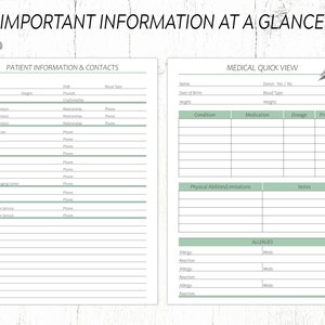 May include: A printable medical information sheet with sections for patient information, contacts, medical quick view, physical abilities, limitations, and allergies. The sheet has a green and white color scheme.