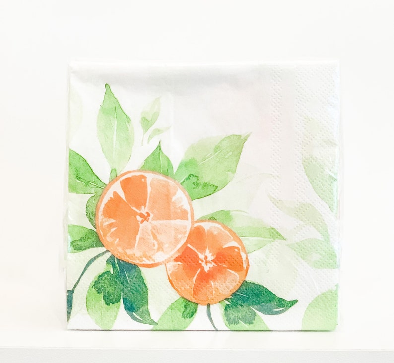 Orange Cutie Paper Napkins Cocktail Napkins Set of 40 A Etsy