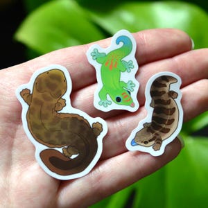 May include: Three reptile stickers in a hand. One is brown, one is green with orange spots, and the other is brown with stripes. The stickers are on a white background. The background is blurred.