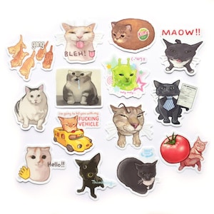 Könnte beinhalten: Eine Sammlung von verschiedenen Katzen-Aufklebern mit diversen Katzenillustrationen, darunter Katzen in einem gelben Bus, eine Katze mit einer Bewerbung, eine Katze mit einer Tomate und verschiedene humorvolle Ausdrücke mit Text wie BLEH, MAOW und Hello.