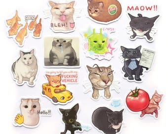 以下が含まれることがあります： 黄色いバスに乗った猫、求職申込書を持つ猫、トマトを持つ猫など、様々な猫のイラストが描かれた猫をテーマにしたステッカーのコレクション。BLEH、MAOW、Helloといったテキストが添えられたユーモラスな表情の猫たちが含まれています。