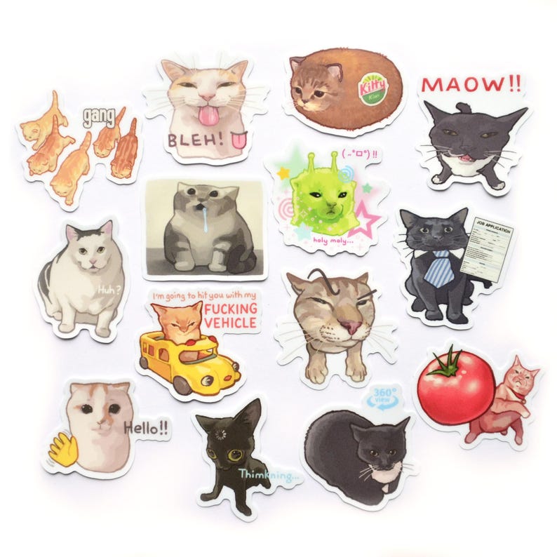 Internet Meme Kitty Stickers | Assorted Cat Vinyl Decal - Etsy