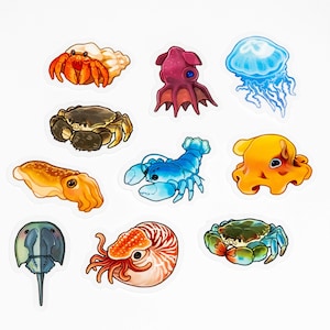 May include: A set of colourful stickers depicting marine life. The stickers showcase a crab, octopus, jellyfish, lobster, squid, and nautilus, each with distinct colours and details. The stickers are set against a white backdrop.