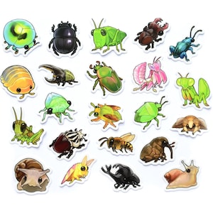 May include: A collection of twenty-two individual stickers featuring various insects and small creatures, including beetles, snails, a grasshopper, a bee, a mantis, and a moth, all rendered in a colorful, stylized, and cartoon-like illustration style.