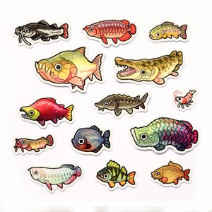 以下が含まれることがあります： 14種類の魚と1匹の小さなエビが描かれたダイカットステッカーのセット。ナマズ、レッドアロワナ、マス、ピラニア、ガー、サケ、チョウザメなど、色鮮やかな水生生物のイラストが個別のステッカーとしてデザインされています。