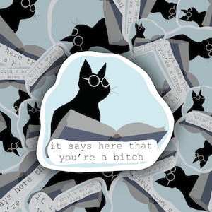 Pegatina de Salem Saberhagen: Aquí dice que eres una perra