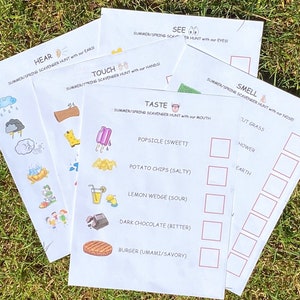 Five Senses Summer/Spring Scavenger Hunts