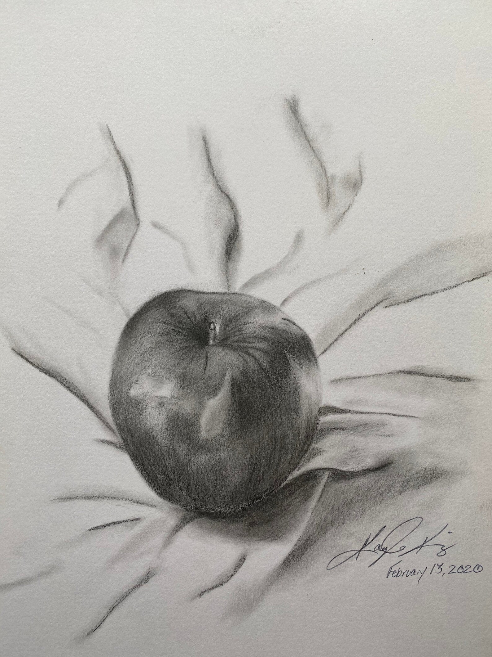 Graphite drawing An Apple A Day Etsy