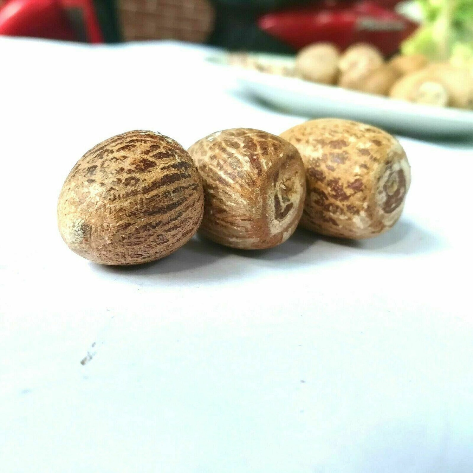 Ceylon Dried Betel Nuts Areca Nuts Organic Natural Sri Lanka Etsy