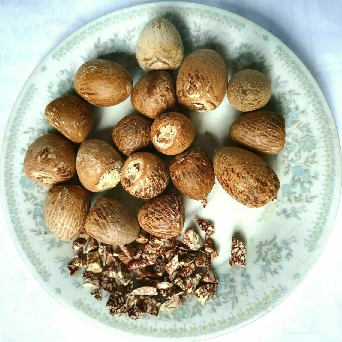 Ceylon Dried Betel Nuts Areca Nuts Organic Natural Sri Lanka Etsy