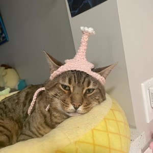 Crochet Pikmin Cat Hat