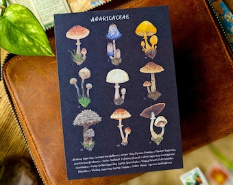 Pilz-Postkarte | Agaricaceae-Familie | Kunstkarte | Pilze, Agaric, psychedelische Pilze, Mushies | Postcrossing, Snail Mail & Happy Mail
