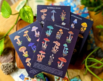 Pilz-Postkarten | 4er-Set | Kunstkarte | Handbemalte Pilze, Agaric, psychedelische Pilze, Mushies | Postcrossing, Happy Snail Mail Card