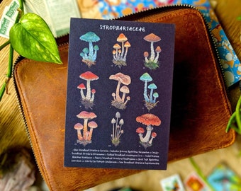 Pilz Postkarte | Strophariaceae Familie |Kunstkarte| Pilze, Psychedelische Pilze, Pilze, Pilze | Postcrossing, Briefpost & Happy Mail