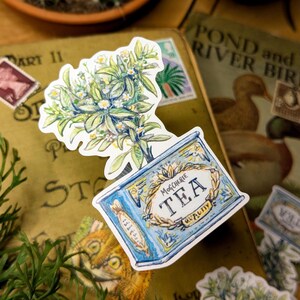 Juego de pegatinas de plantas de té, 10 unidades de pegatinas de vinilo brillante, plantas de interior y jardinería, decoración estética de escritorio, etiquetas de diario Bujo, arte efímero