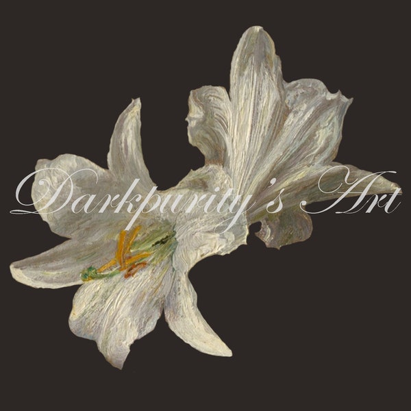 4 Old Oil Painting White Lilies PNGs Overlays for Photoshop Clipart Digital Cutout Painted Digital Photo Prop