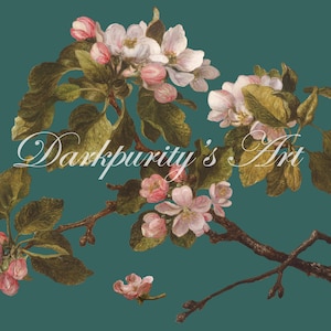 Old Oil Painting Apple Blossom PNG Overlay for Photoshop Clipart Digital Cutout Painted Digital Photo Prop