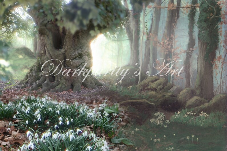 Snowdrops Forest Digital Backdrop Background for Photoshop image 1