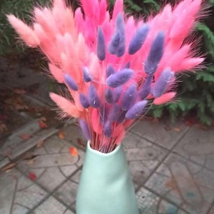 MIX BUNNY TAILS 60 Pc, Pink, Light Pink, Lavander Lagurus Bouquet, Home Table Decor, Floral Arangement, Pink Boho Wedding, Bunny Tails Decor