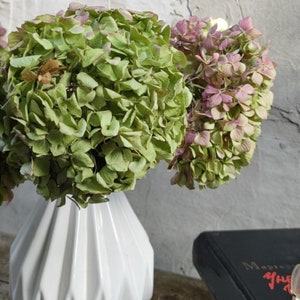 Getrockneter antiker Hortensienstiel: Natürliches Hochzeitsarrangement im Herbst