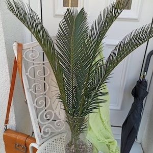 2 hastes de folhas de palmeira secas, folha de palmeira sagu tropical orgânica, decoração natural seca para casa, buquê tropical para casamento, decoração de praia alta, arco de casamento