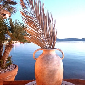 Natural Dried DATE PALM Leaves 24&quot;, Old Antique Beige Green Color, Dry Fronds for Vase, Palm Backdrop, Tropical Design, Beach Wedding Arch