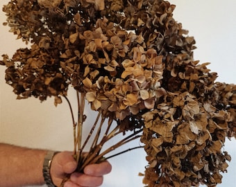 4 St Fall Natural Dried Antique Hydrangea, Earthy-Wood Tone, Rustic Table Decor, Dry Floral Home Arrangement, Fall Wedding, Hydrangea Bouque