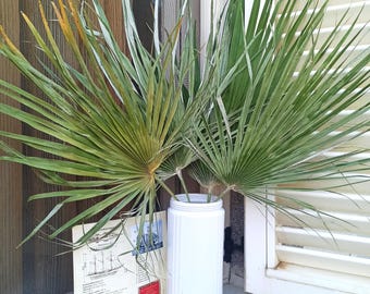 Natural Dried Fan Palm Leaf: Tropical Wedding Boho Decor