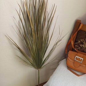 2 LARGE DATE PALM Leaves 39&quot;,  Dried Palm Leaf, Dry Fronds for Vase, Dry Palm Leaves for Home Decor, Tropical Plant Tall Decor, Wedding Arch