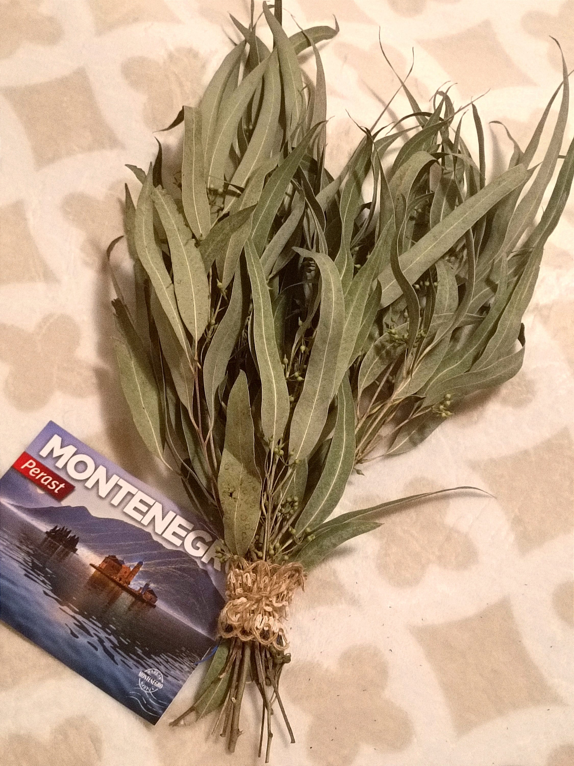 Dried Eucalyptus Bunch