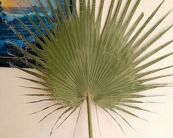 Large Dried Palm Leaf: Natural Boho Wedding Decor, 40" Tall