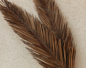 Dried Date Palm Leaf (24"): Earthen Tone Tropical Decor