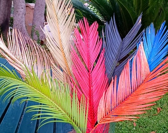 Rainbow Dried Sago Palm Leaf: Boho Tropic Wedding Aisle Arrangement