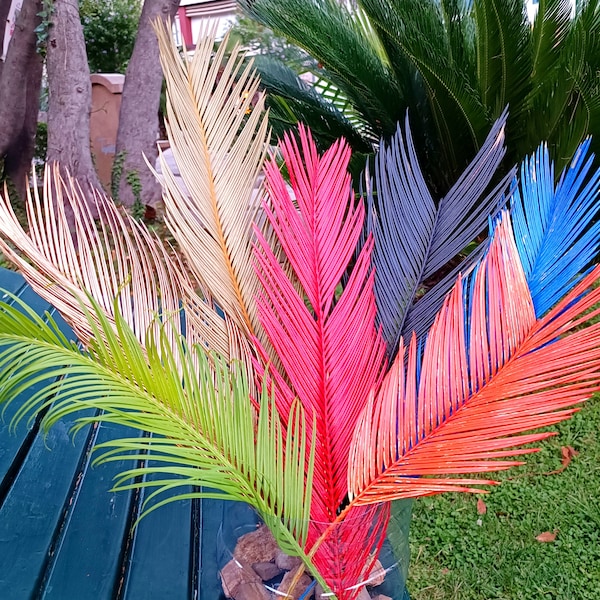RAINBOW Dried Sago Palm Leaves 1St, Multicolor, Natural Dry Flower Home Decor, Boho Wedding, Tropic Bouquet, Rainbow Plant Decor, Baby room