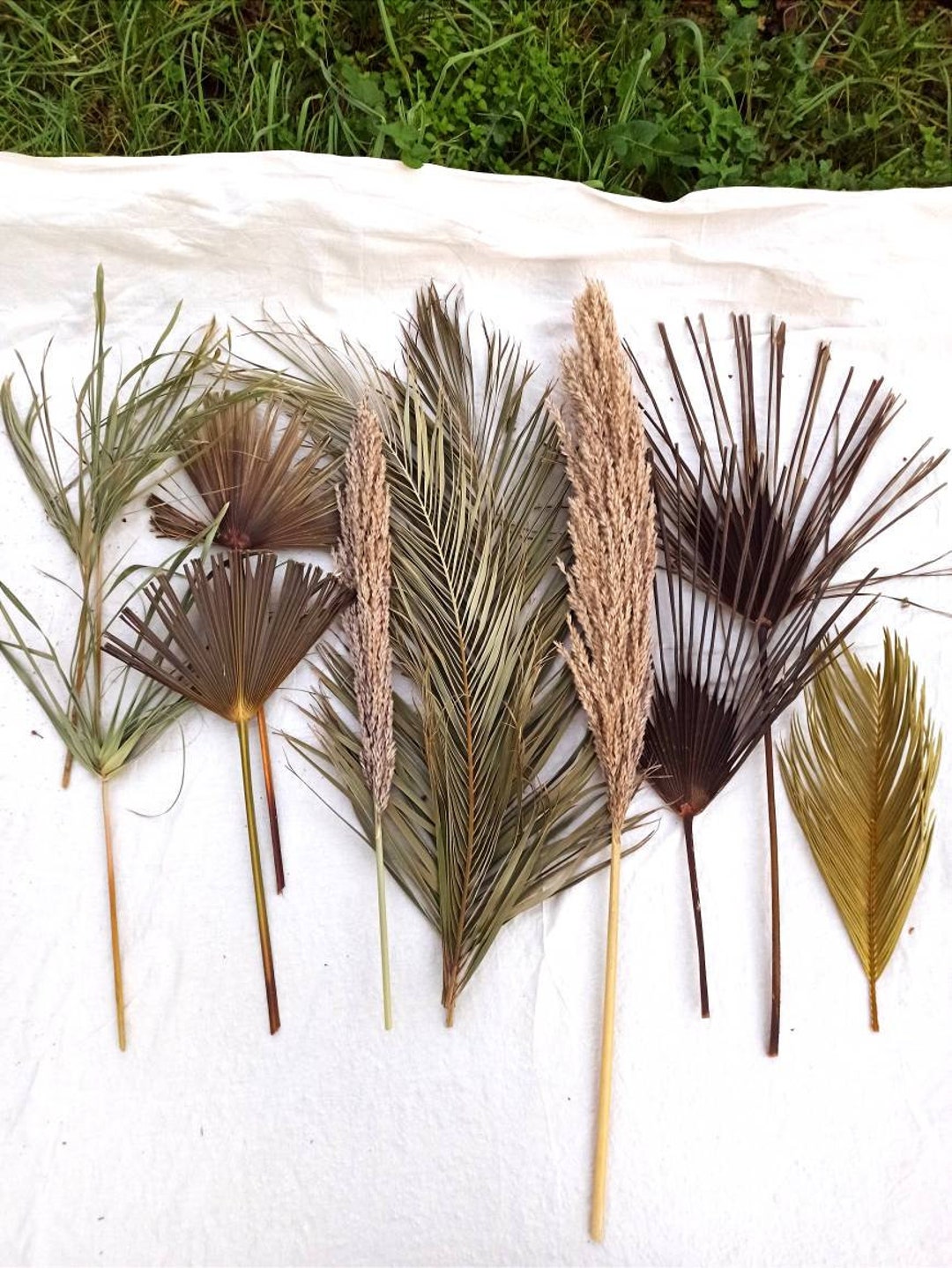 DIY Dried Palm Leaves, DIY Dried Tropical Wildflowers, Natural Dry