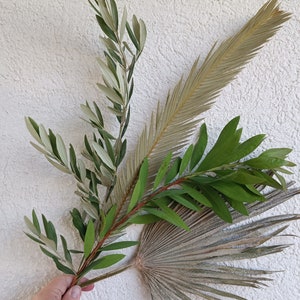 MIX 4 Stems Dried Bouquet Palm, Olive, Manuka Branch, Organic Tropical Bunch, Organic Dry Plant Decor, Wedding Tropic Decor, Event Centerpie