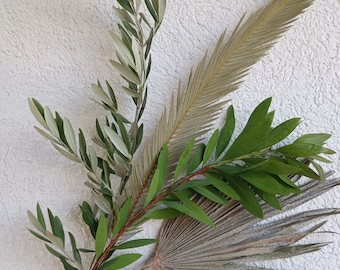 Dried Palm & Olive Branch Bouquet: Organic Tropical Decor (4 Stems)