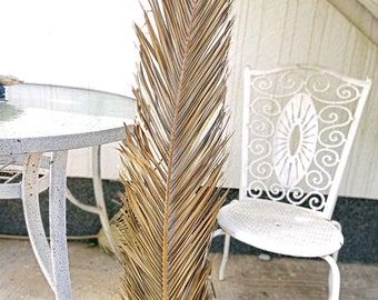Large Dried Palm Leaf: 4.2 Ft Natural Boho Wedding Decor