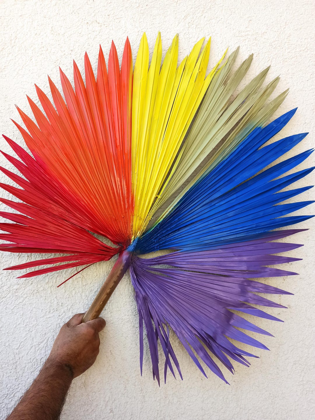 RAINBOW RED PALM